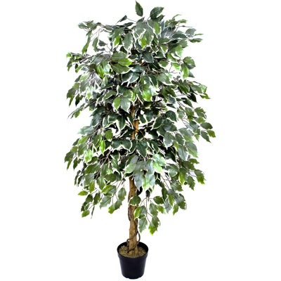 Premium Artificial Variegated Ficus Tree Potted Plant