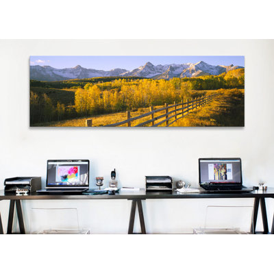 " Panoramic Trees In A Field Near A Wooden Fence, Dallas Divide, San Juan Mountains, Colorado "