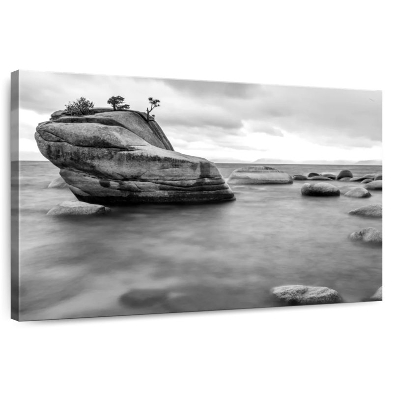 Alvord Monochromatic Bonsai Rock, 16" H x 24" W