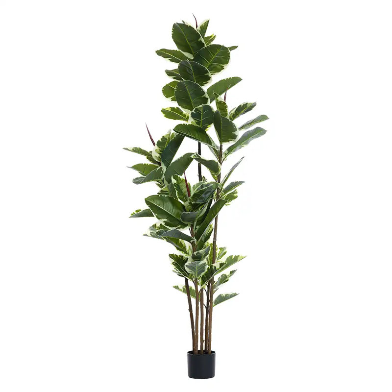 Hévéa artificiel vert 73 po dans un pot noir