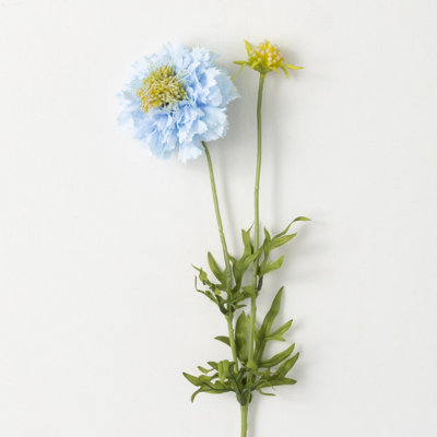 Vibrant Bloom Scabiosa Sprays