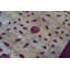 Hand-Knotted High-Quality Gold Area Rug