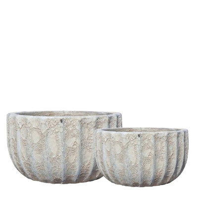 Salette Ceramic Pot Planter