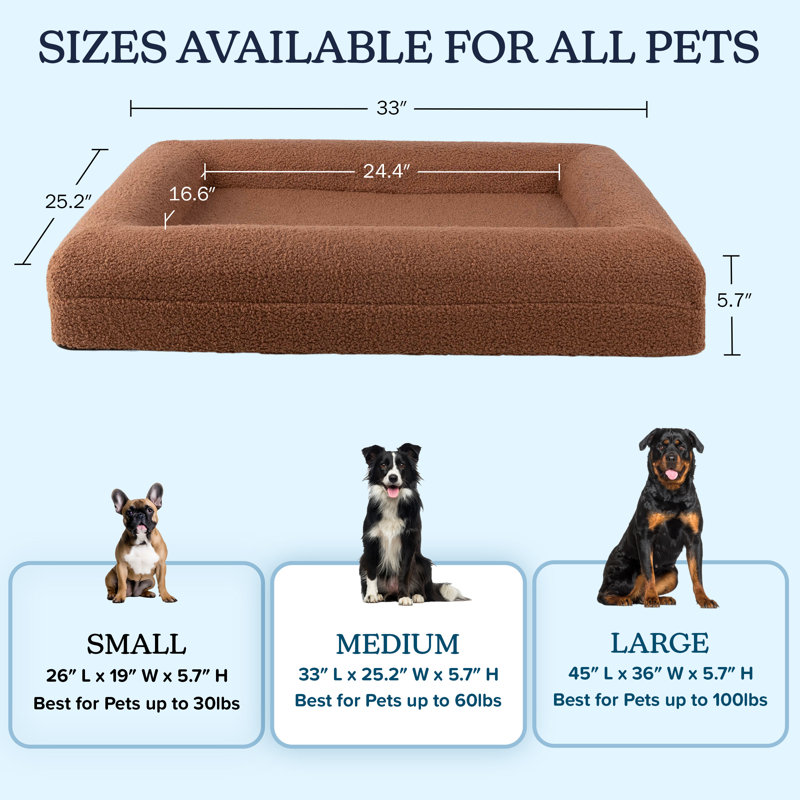 Lit pour chien PETMAker 33 po avec housse lavable à la machine - Lit en mousse viscoélastique avec traversin, brun, Brun