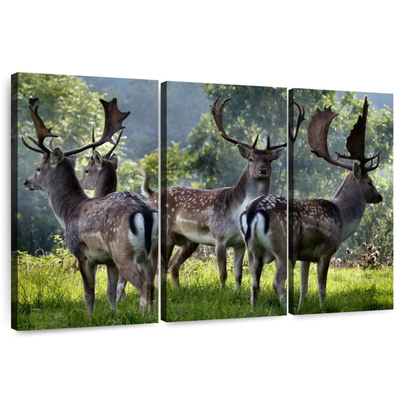 Brampt Deer Alliance, 32" H x 50" W