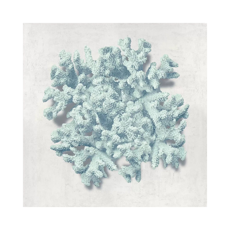 Coral Mint II by Caroline Kelly - Wrapped Canvas Print, 30.48cm H x 30.48cm W x 1.905cm D