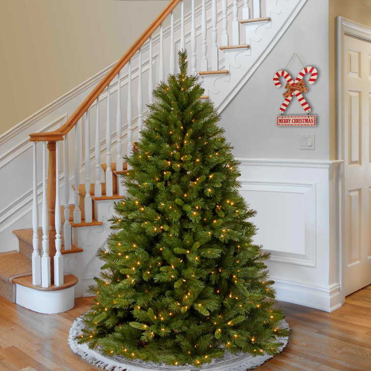 7 1/2’  Addilynn Lighted Artificial Pine Christmas Tree