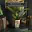 Dianelis Handmade Ceramic Pot Planter