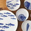 School of Fish Small Plates
