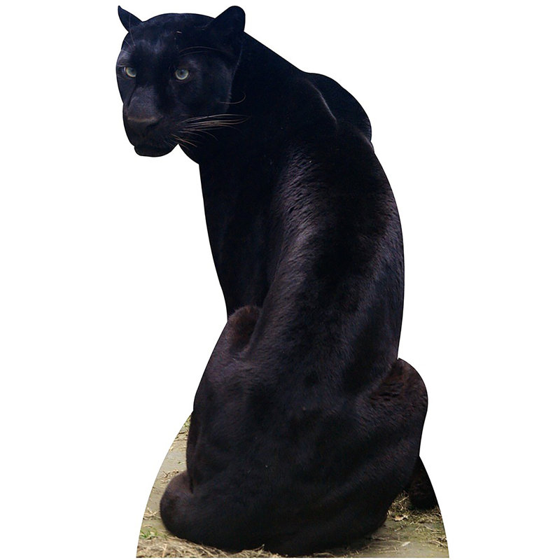 Panther Cardboard Standup