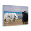 «Yak Couple Yak Couple», art mural animal-1767013153