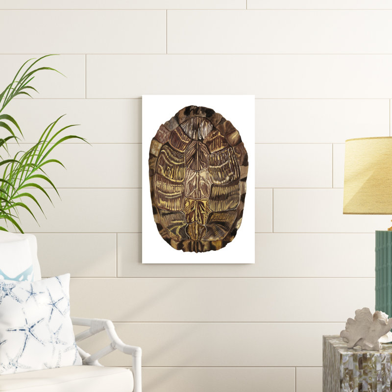 Écaille de tortue - détail I, H 30 po x l 20 po x P 1 po