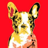 Frenchie III Print by Guseul Park