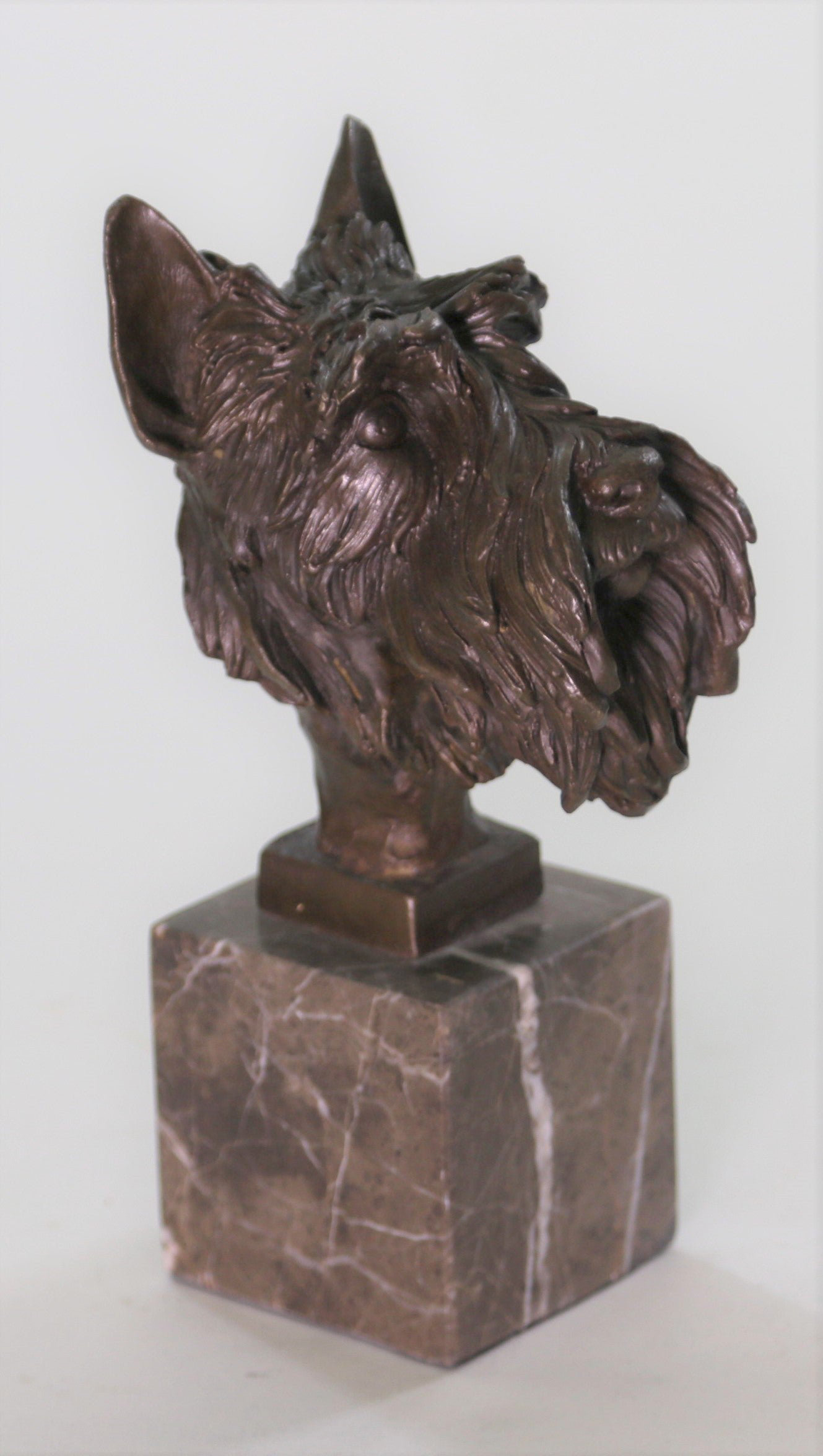 Border Terrier - Statuette De Chien, Buste Sur Socle En Pierre Sculpture Trophee Pour Exposition Canine Par Art Dog 86269693