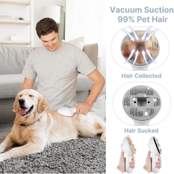 The 7 Best Dog Grooming Kits of 2026 - The Spruce Pets