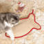 Pet Treats Fish Christmas Stocking