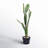 Artificial Potted Cactus-1806810764