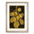 Oak Framed selected