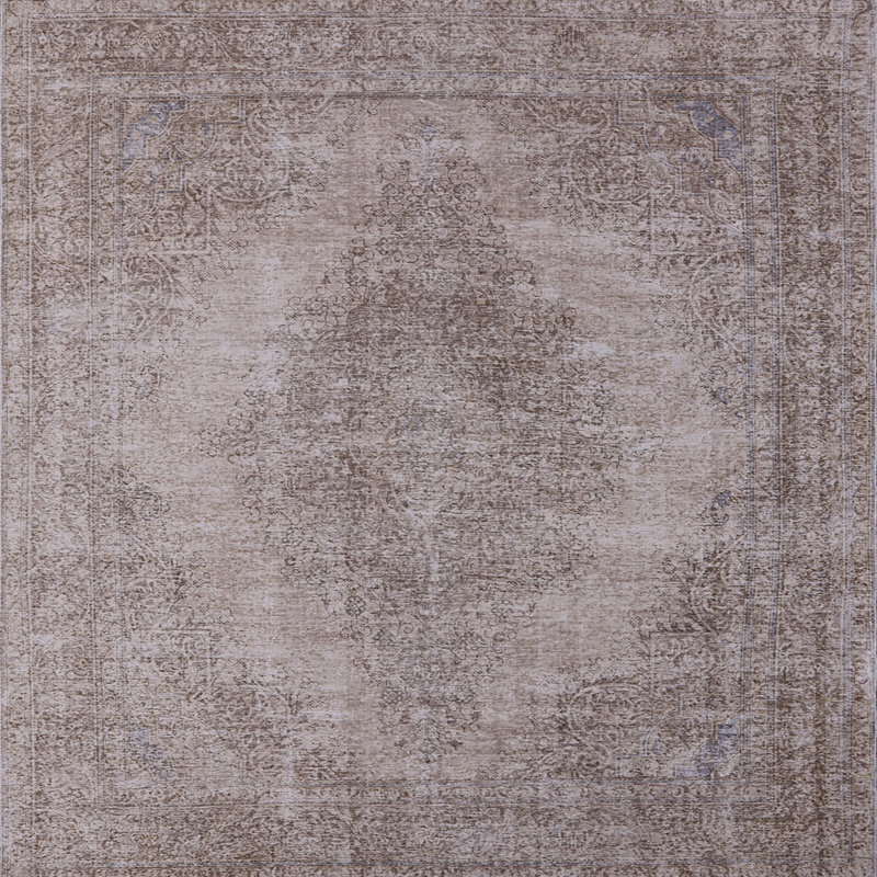 Fairborn Oriental Indoor Rug, Square 6'