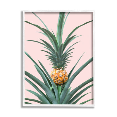 Ananas sur rose par Sissi et Seb