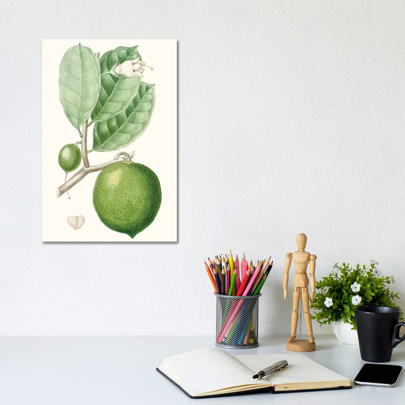 Fruit III by Turpin - Gallery-Wrapped Canvas Giclée on Canvas, 66.04 cm H x 45.72 cm W x 1.91 cm D, Canvas