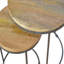 Ensemble de tables basses 2 pièces