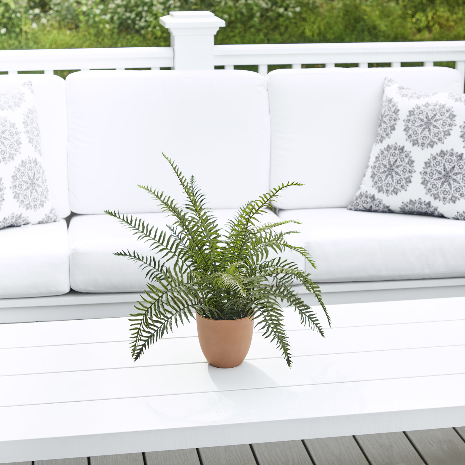 19" Potted Boston Fern