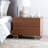 Pangea Home Tyler Modern 2-Drawer Nightstand in Walnut Wood Finish – Mid-Century Bedroom Bedside Table Storage Cabinet-19038231