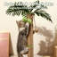 Grattoir Palm Palm, grand griffoir en sisal