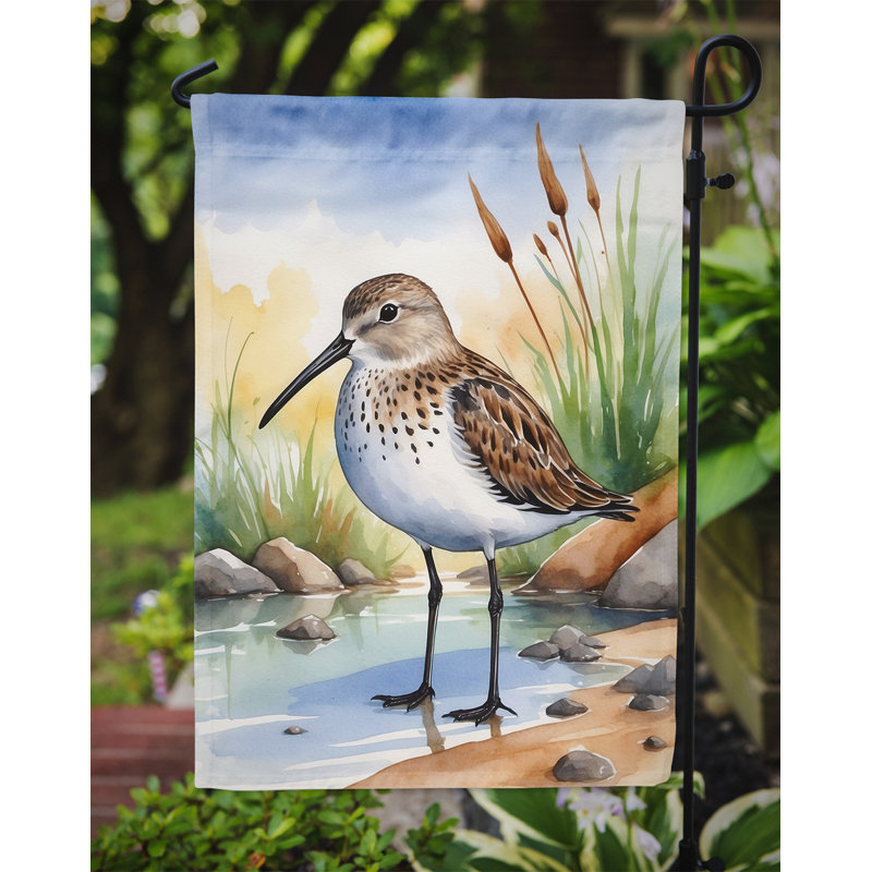 Drapeau de jardin Surfbird Bird, Dunlin