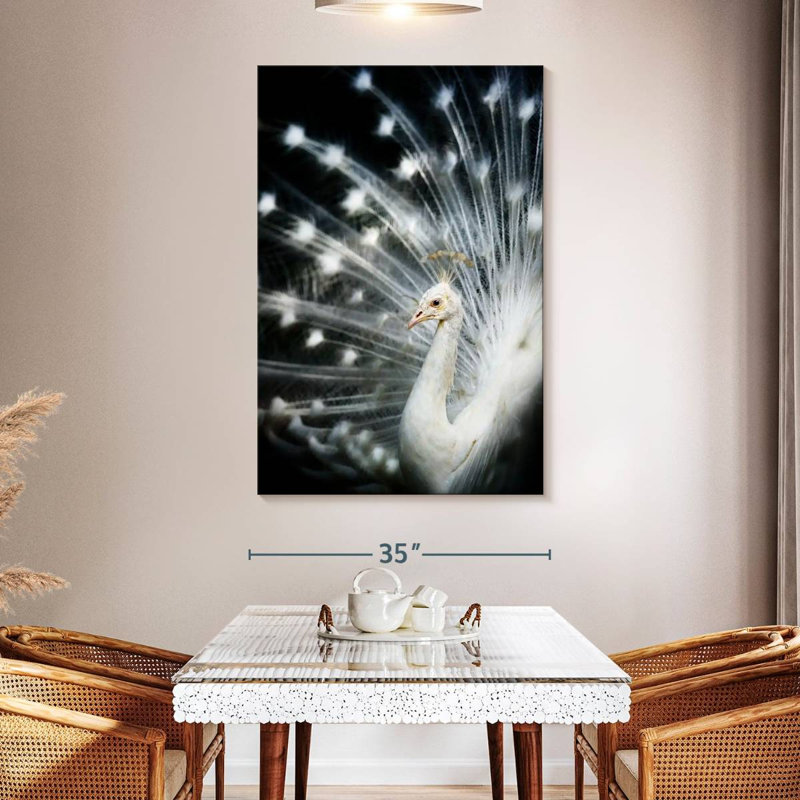 Brampt Rare White Peacock, 51" H x 34" W
