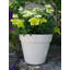 Bojorquez Pot Planter-422402144-422402152