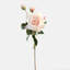 Rose Faux Floral-807825536