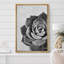 Gros plan sur des plantes florales grises en niveaux de gris, photographie du sud-ouest, noir et blanc-102488117-102488121