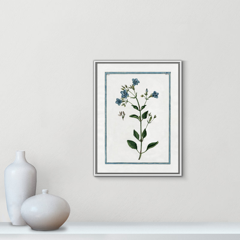 «Shabby Soft Shabby Elegance Botanical II» par Kelly Donovan, reproduction sur toile flottante, Blanc