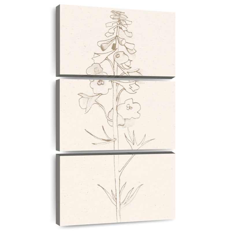 Delphinium II, H 27 po x l 12 po