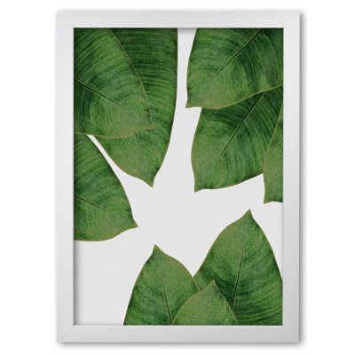 Banana Leaf I - Print