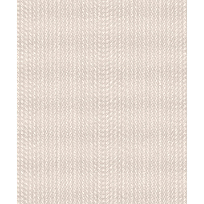 Orion 10.05m x 53cm Textured Matte Wall Wallpaper Roll, Neutral