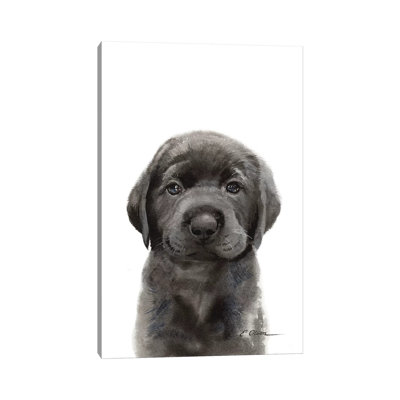 Black Lab Puppy II by Watercolor Luv - Wrapped Canvas Painting