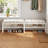 2-Tier Shoe Bench