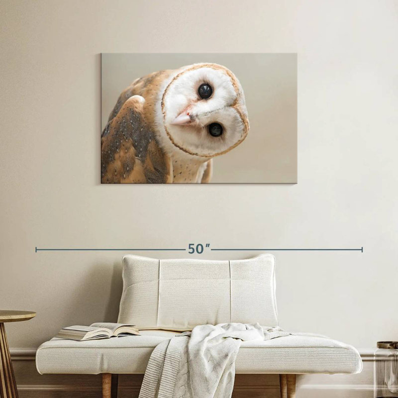 Brampt Barn Owl Gaze, 24" H x 36" W