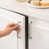 Brushed Nickel selected