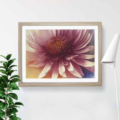 Chrysanthemum Watercolour Flower Vol.4 - Framed Print