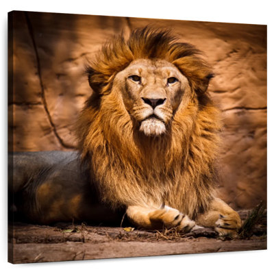Crowle Safari Lion