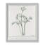 Parsley II by Albert Koetsier-88318114-88318115