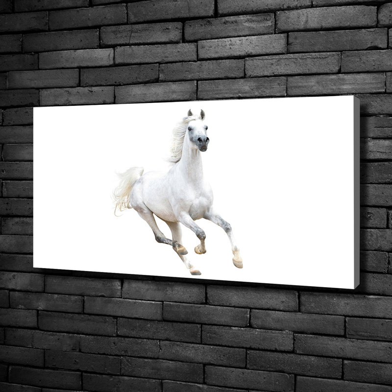 White Arabian Horse 1 Piece Wrapped Canvas Wall Art