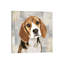 Beagle 1 Piece Wrapped Canvas Wall Art-42160240
