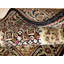 Pilade Oriental Area Rug in Black