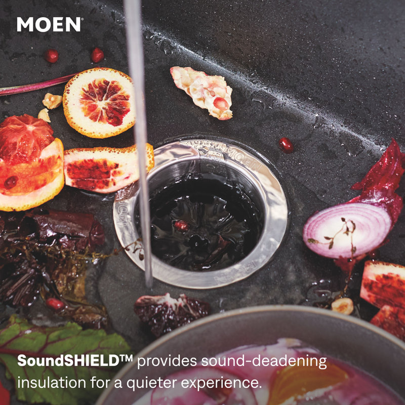 Broyeur à déchets avec alimentation continue 1 HP Moen Chef