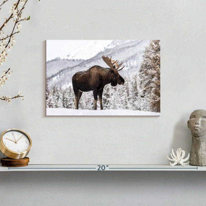 Snowy Moose, 8" H x 12" W